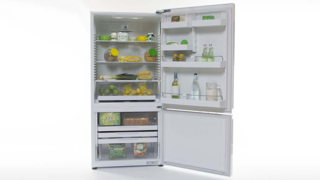 Fisher & Paykel RF522BRPW6